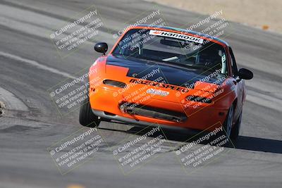 media/Oct-11-2025-Lucky Dog Racing (Sat) [[f5b53147c4]]/5-Fourth Stint/1-Turn 10/